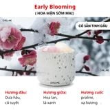  Set Đá Thơm Phòng Khuếch Tán Tinh Dầu MOONLIT CHILLME Quà Tặng Sinh Nhật Decor Khử Mùi Trang Trí 