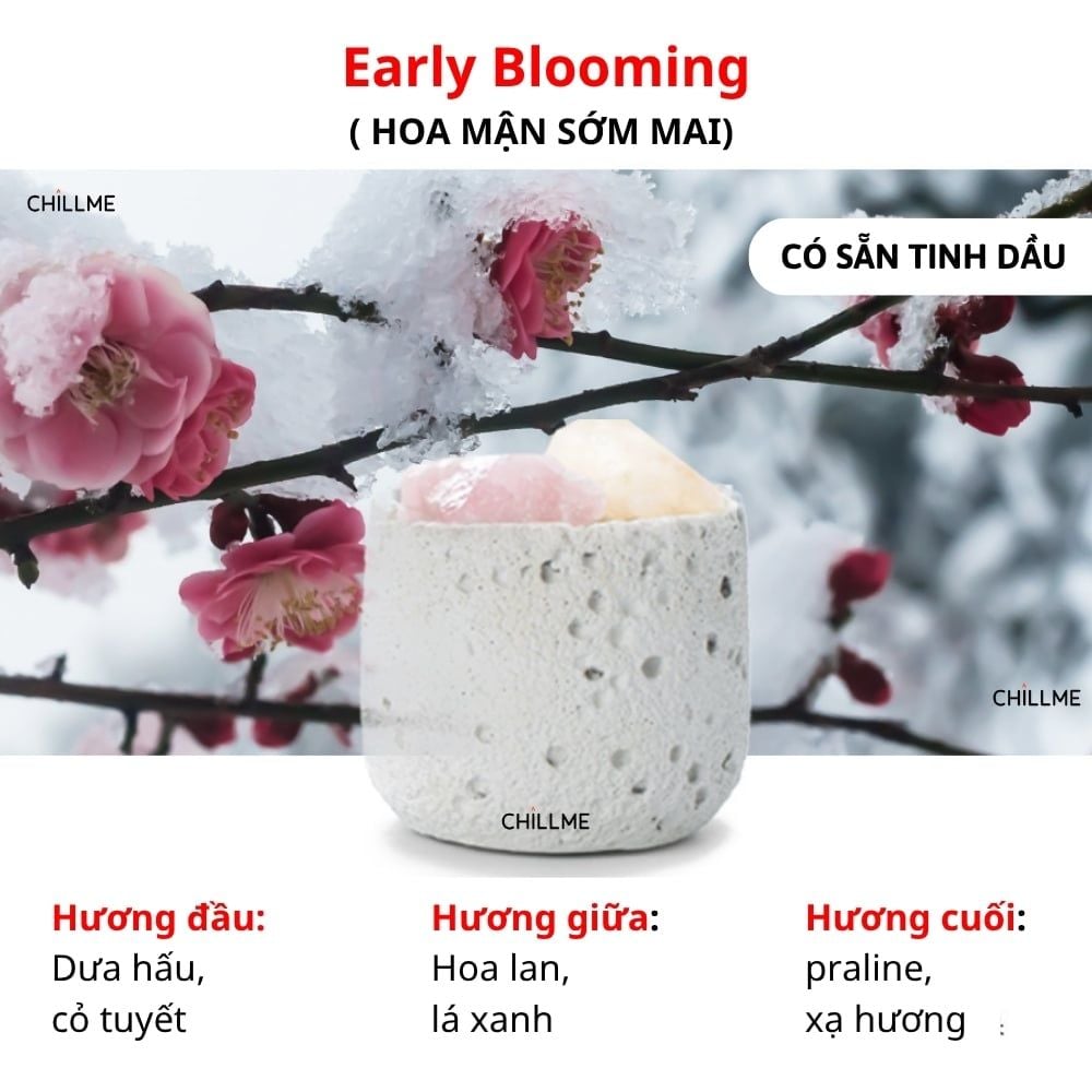  Set Đá Thơm Phòng Khuếch Tán Tinh Dầu MOONLIT CHILLME Quà Tặng Sinh Nhật Decor Khử Mùi Trang Trí 
