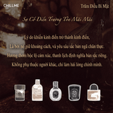  Thẻ thơm không gian ô tô Chillme treo xe, tủ quần áo và phòng thay đồ, lưu hương lâu, khuếch tán hương và khử mùi 