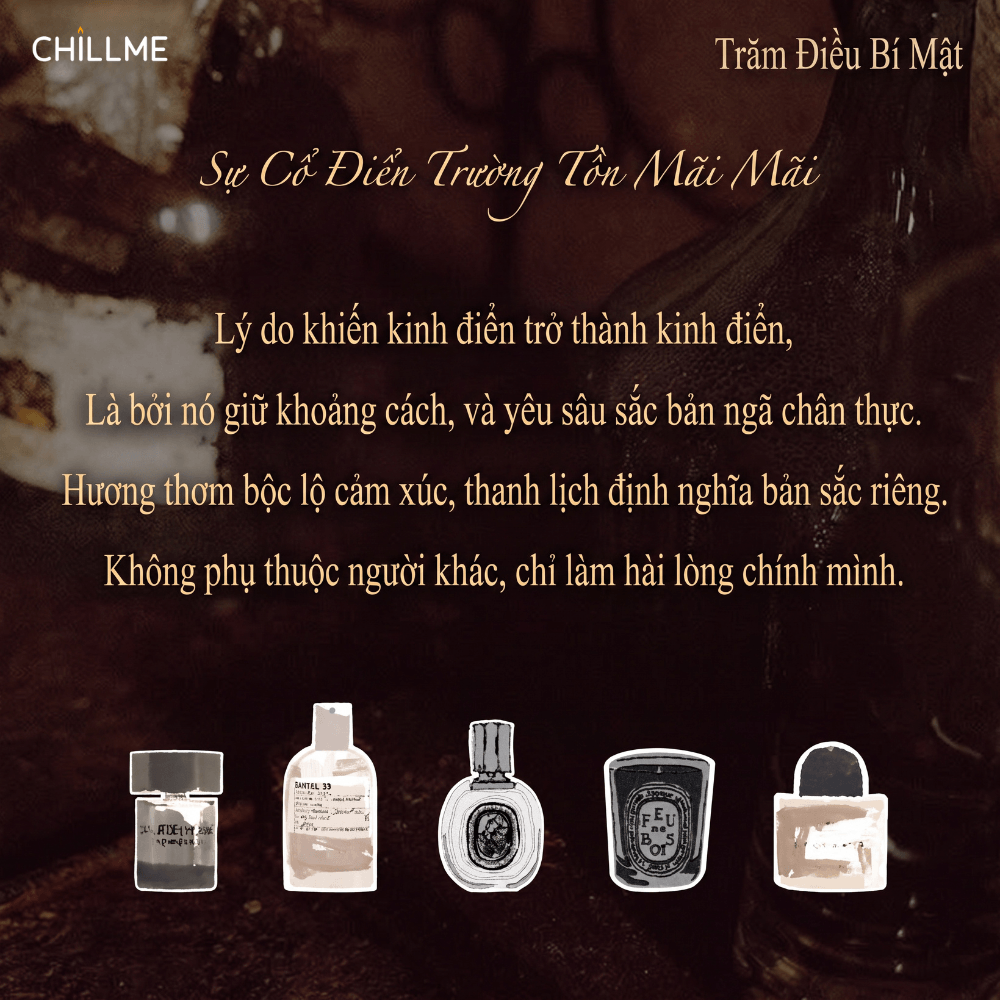  Thẻ thơm không gian ô tô Chillme treo xe, tủ quần áo và phòng thay đồ, lưu hương lâu, khuếch tán hương và khử mùi 
