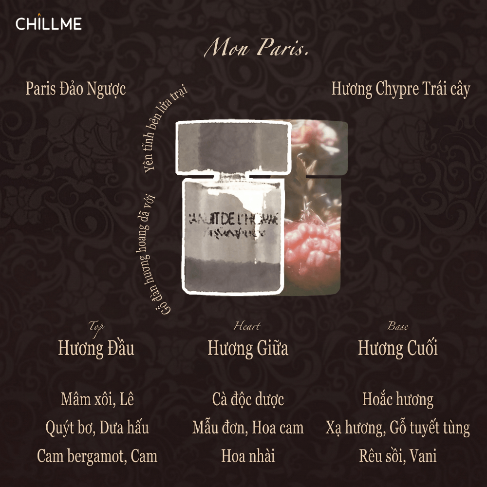  Thẻ thơm không gian ô tô Chillme treo xe, tủ quần áo và phòng thay đồ, lưu hương lâu, khuếch tán hương và khử mùi 