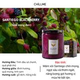  Nến Thơm Luxury Santiego Blackberry 