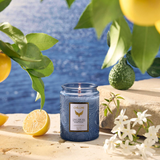  Nến Thơm Luxury Sea Salt Sage 