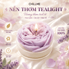  Nến thơm tealight tạo hình hoa hồng Rose Chillme có đế trang trí dễ thương làm quà tặng đám cưới ngày lễ 