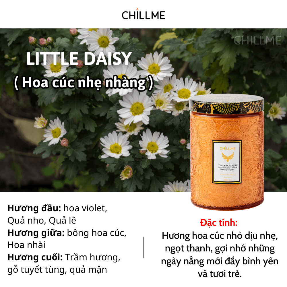  Nến thơm tinh dầu size L Chillme 785g sáp đậu nành không khói hương thơm thư giãn nhẹ nhàng 