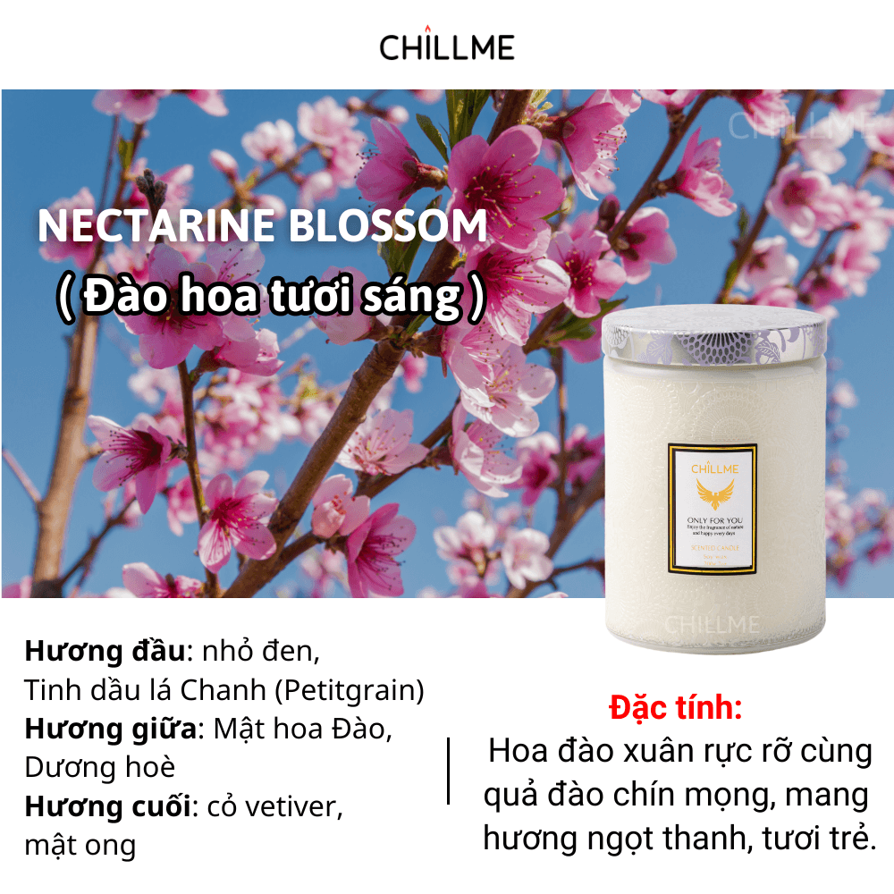  Nến thơm tinh dầu size L Chillme 785g sáp đậu nành không khói hương thơm thư giãn nhẹ nhàng 