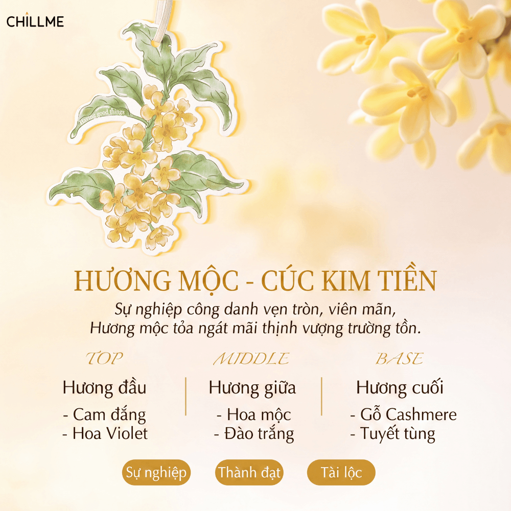  Thẻ thơm treo xe ô tô Chillme phù hợp treo tủ quần áo, phòng ngủ, phòng khách, quà tặng doanh nghiệp 