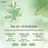  Thẻ thơm treo xe ô tô Chillme phù hợp treo tủ quần áo, phòng ngủ, phòng khách, quà tặng doanh nghiệp 