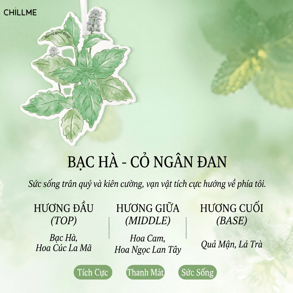  Thẻ thơm treo xe ô tô Chillme phù hợp treo tủ quần áo, phòng ngủ, phòng khách, quà tặng doanh nghiệp 
