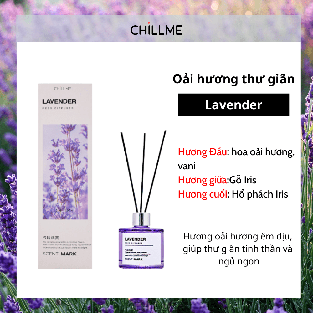  Tinh dầu thơm phòng khuyếch tán 50ml Chillme hương thơm khử mùi thư giãn phòng khách sạn bắc âu 