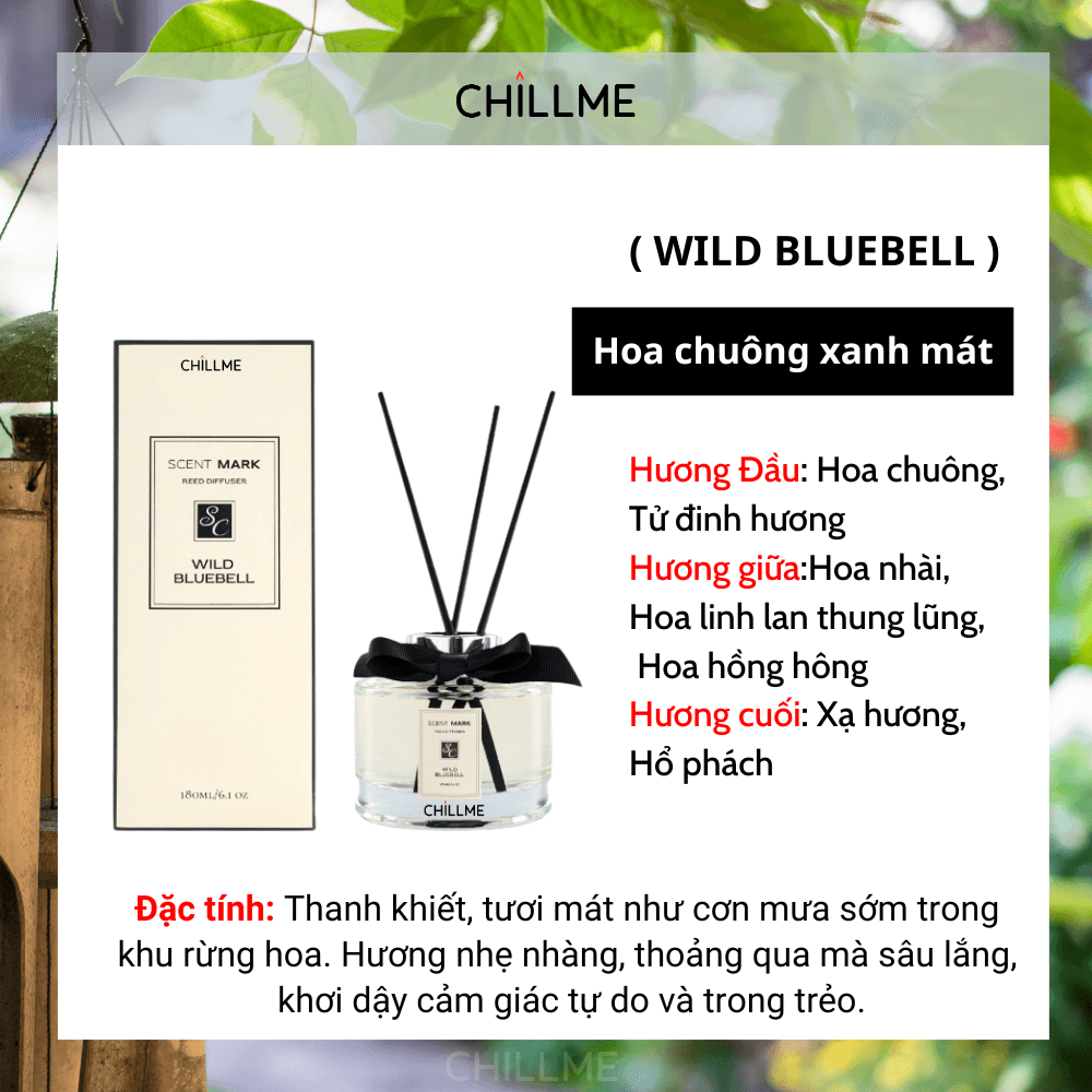  Tinh dầu thơm phòng hương nước hoa 180ml Chillme cắm que tỏa hương khử mùi lâu Reed Diffuser trang trí 