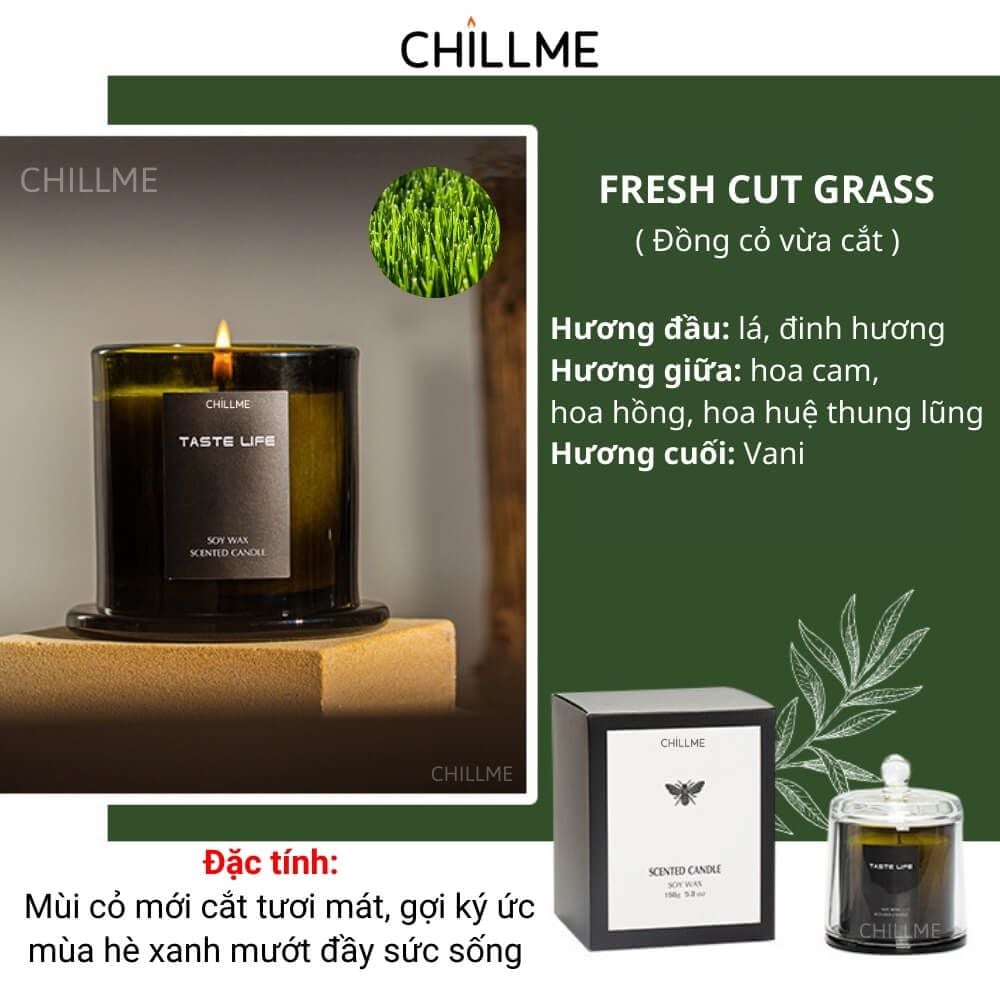  Nến thơm cao cấp sáp đậu nành chillme thiên nhiên khử mùi phòng trang trí sang trọng đẹp mắt TL 