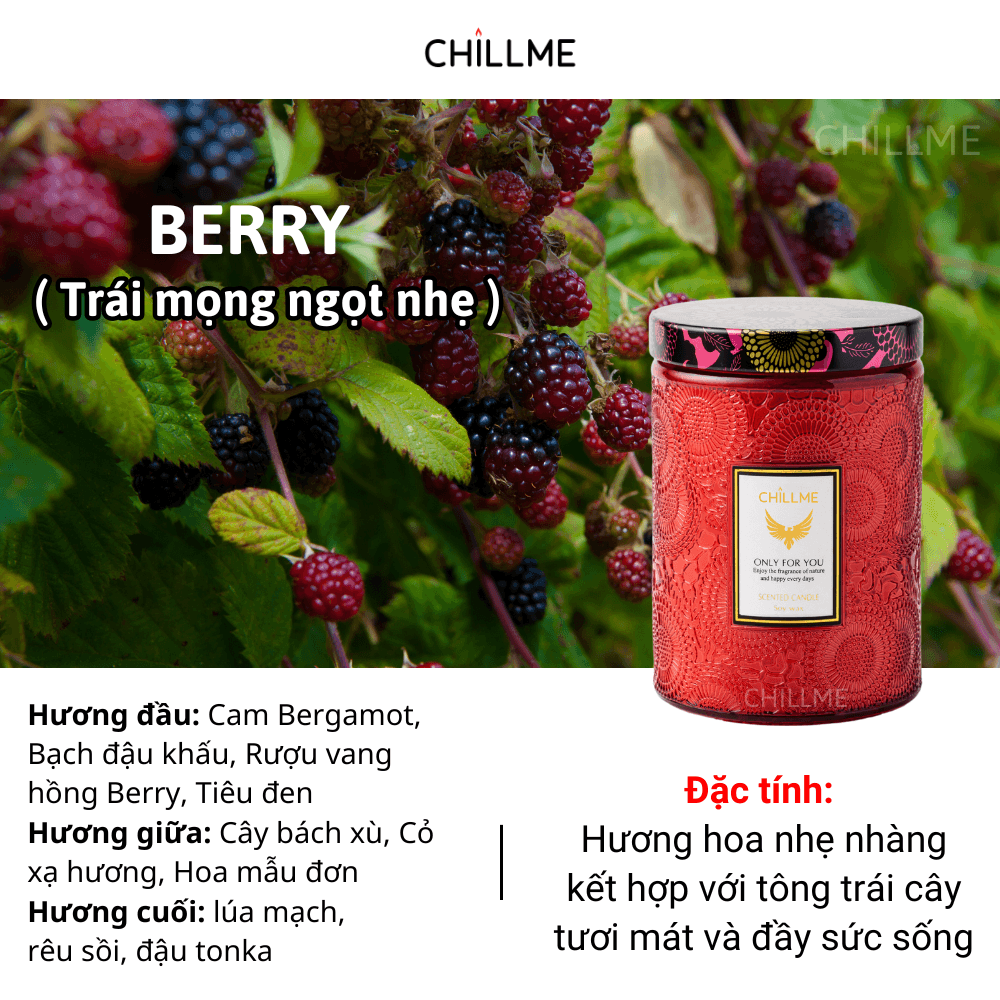  Nến thơm tinh dầu size L Chillme 785g sáp đậu nành không khói hương thơm thư giãn nhẹ nhàng 