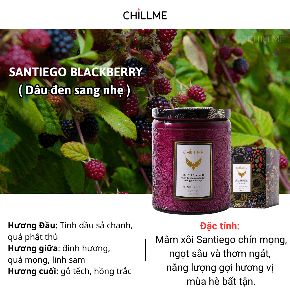  Nến thơm phòng tinh dầu chillme Luxury 400g ( 200g sáp ) organic không khói dễ ngủ trang trí - LXR 