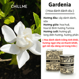  Nến thơm phòng sinh nhật Aroma Collection cổ điển sáp đậu nành thư giãn làm quà tặng 