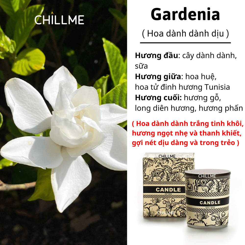  Nến thơm phòng sinh nhật Aroma Collection cổ điển sáp đậu nành thư giãn làm quà tặng 