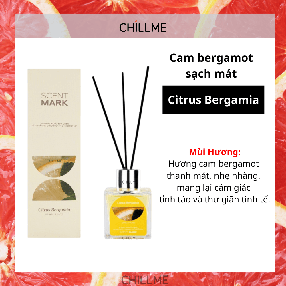  Tinh dầu thơm phòng khuyếch tán 50ml Chillme hương thơm khử mùi thư giãn phòng khách sạn bắc âu 