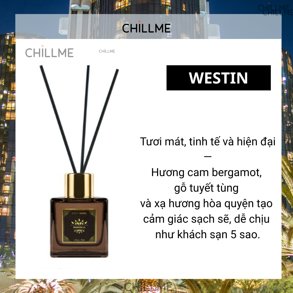 Tinh dầu thơm phòng khuyếch tán 50ml Chillme hương thơm khử mùi thư giãn phòng khách sạn bắc âu 