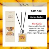  Lọ tinh dầu thơm phòng khuếch tán 50ml Chillme que gỗ hương trái cây khử mùi thư giãn quà tặng Reed Diffuser 