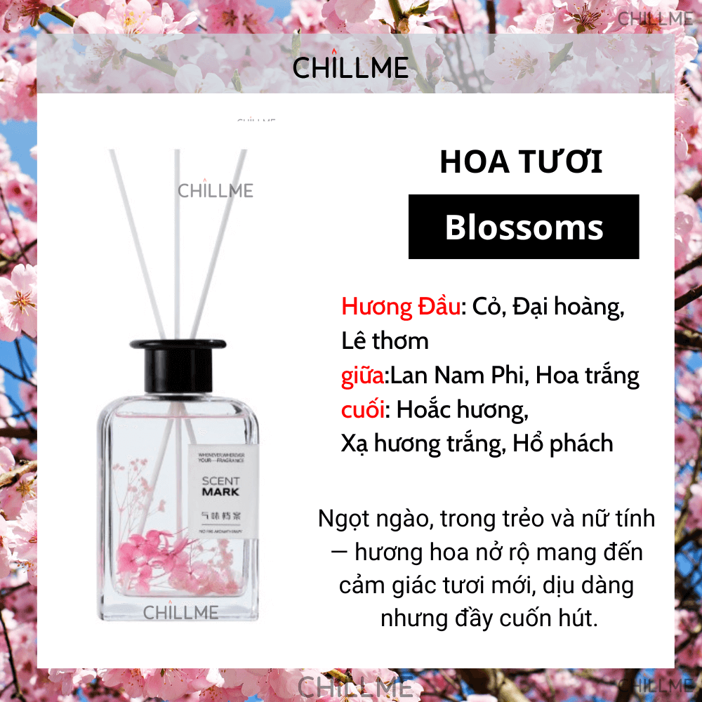  Tinh dầu thơm phòng tán hương Chillme hoa thơm khuếch tán sang trọng đuổi muỗi decor trang trí - TDCT04 