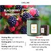  Nến Thơm Luxury Blackberry Bergamot 
