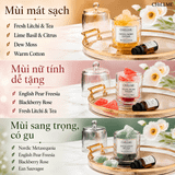  Bộ khuếch tán tinh dầu thơm phòng Chillme đá thạch anh làm quà tặng trang trí decor sang trọng 