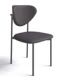 Ghế khung sắt GT2411