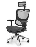 Ghế Công Thái Học GX2411
