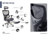 Ghế Công Thái Học GX2411