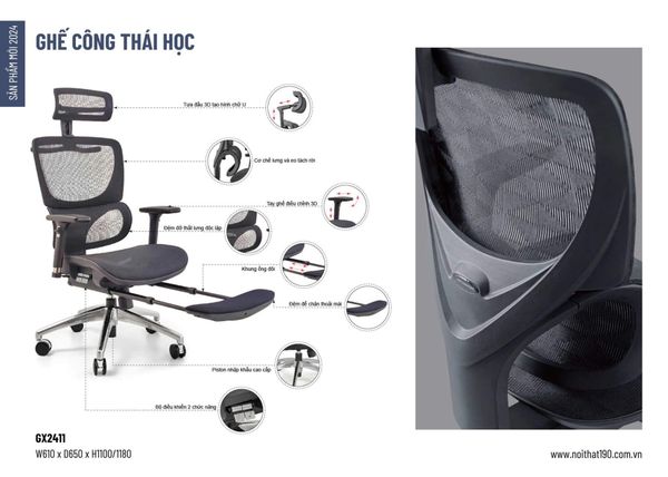 Ghế Công Thái Học GX2411