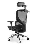 Ghế Công Thái Học GX2411