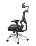 Ghế Công Thái Học GX2411