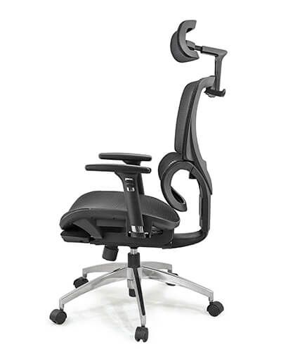 Ghế Công Thái Học GX2411