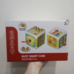  Đồ chơi vận động : KHỐI LẬP PHƯƠNG 6 MẶT CHÚ KHỈ BẬN RỘN – BUSY SMART CUBE, 3ages+, No. YL562A 