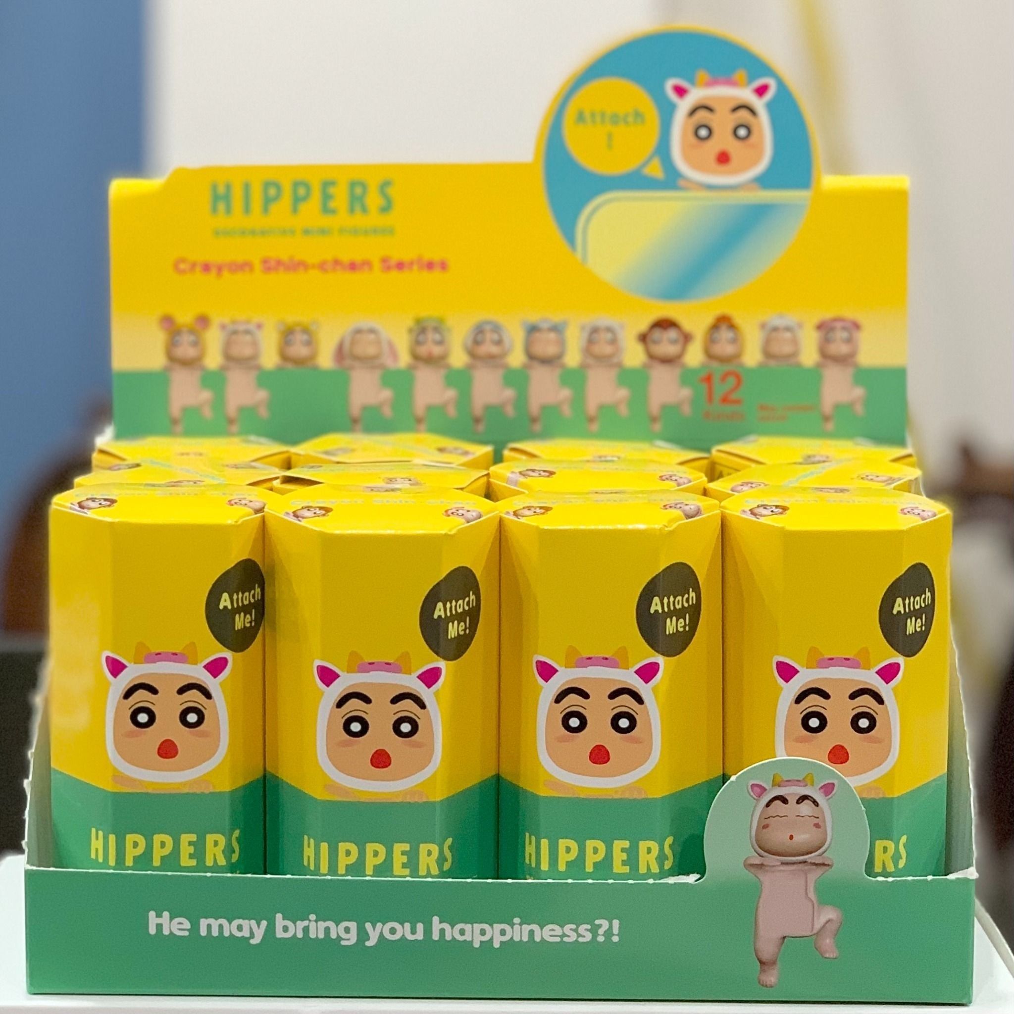  Đồ chơi mô hình : FULL SET 12 box bộ sưu tập mô hình Sonny Angel, phụ kiện gắn điện thoại, laptop siêu đáng yêu 