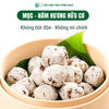 Mọc Nấm Hương Cửu Long