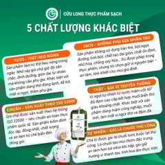 Chả Bì Ớt Xiêm Xanh Cửu Long 500g