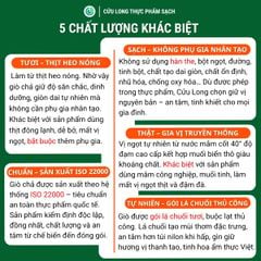 Chả Huế Cửu Long 500g