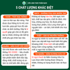 Mọc Nấm Hương Cửu Long