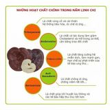  Nấm Linh Chi đỏ thượng hạng Achimmadang Korea Lingzhi Mushroom 1kg Hàn Quốc Nhập Khẩu Chính Hãng 
