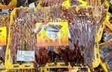  Nấm Linh Chi Sừng Hươu Chuẩn Nội Địa Hàn Quốc 