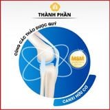  Nước uống bồi bổ sức khỏe xương khớp MSM Hogawanwon Premum Gold – 30 gói x 70ml Hàn Quốc Nhập Khẩu Chính Hãng 