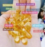  Tinh dầu hoa anh thảo Nature Gamma Linolenic Acid Prime Hàn Quốc Nhập Khẩu Chính Hãng 