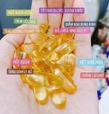  Tinh Dầu Hoa Anh Thảo Gamma Linolenic Acid Evening Primrose Oil Hàn Quốc Nhập Khẩu Chính Hãng 
