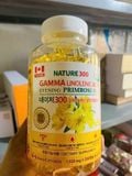  Tinh Dầu Hoa Anh Thảo Gamma Linolenic Acid Evening Primrose Oil Hàn Quốc Nhập Khẩu Chính Hãng 