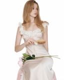  Vanity Kiss silk dress 