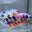 TN02 Cá Trống Nemo Koi Galaxy Betta (Male Nemo Koi Galaxy Betta Fish)