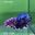 TK15 Cá Trống Red Koi Galaxy Betta (Male Red Koi Galaxy Betta Fish)