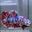 TK10 Cá Trống Red Koi Galaxy Betta (Male Red Koi Galaxy Betta Fish)