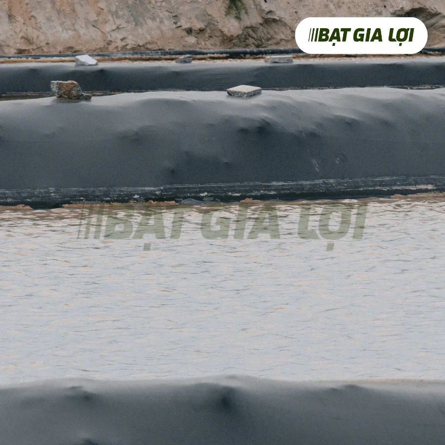  Bạt Nhựa Lót Hồ Nước, Thủy/Hải Sản UV9 170gr/m2 